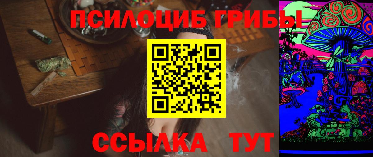 Старый Оскол  Псилоцибиновые грибы GOLDEN TEACHER  сколько стоит  Вход с VPN  Галлюциногенные грибы Psilocybine cubensis 