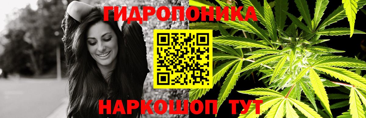 Шишки марихуана Bruce Banner  Вход с VPN  Старый Оскол  Бошки Шишки план 